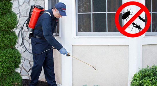 Digor Böcek İlaçlama böcek ilaçlama ve haşere kontrolü — ilaclama-tr.com